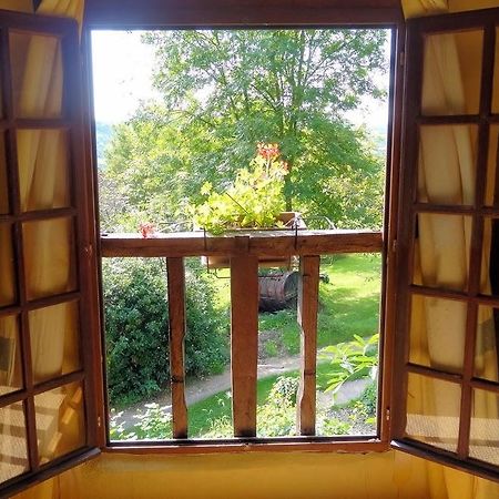 布尔赛住宿加早餐旅馆 Livarot-Pays-d'Auge 外观 照片