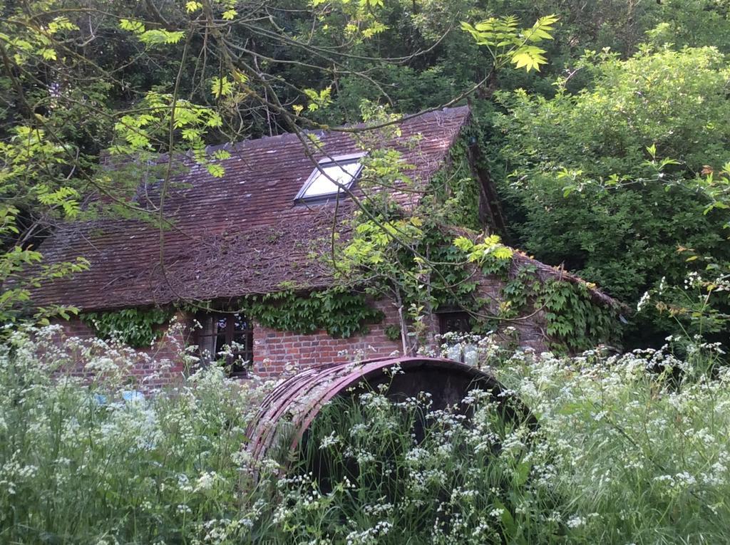 布尔赛住宿加早餐旅馆 Livarot-Pays-d'Auge 外观 照片